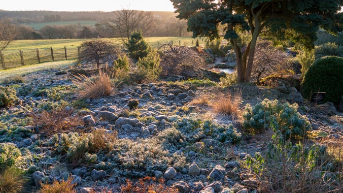 A view across the rose garden at Emmetts Garden in Kent covered with a white frost